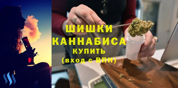 гашик Мегион