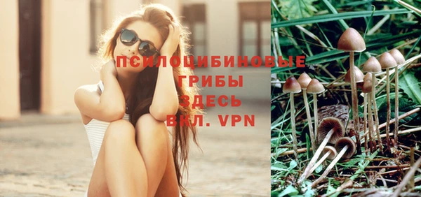 трава Медногорск