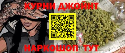 мяу мяу мука Гай